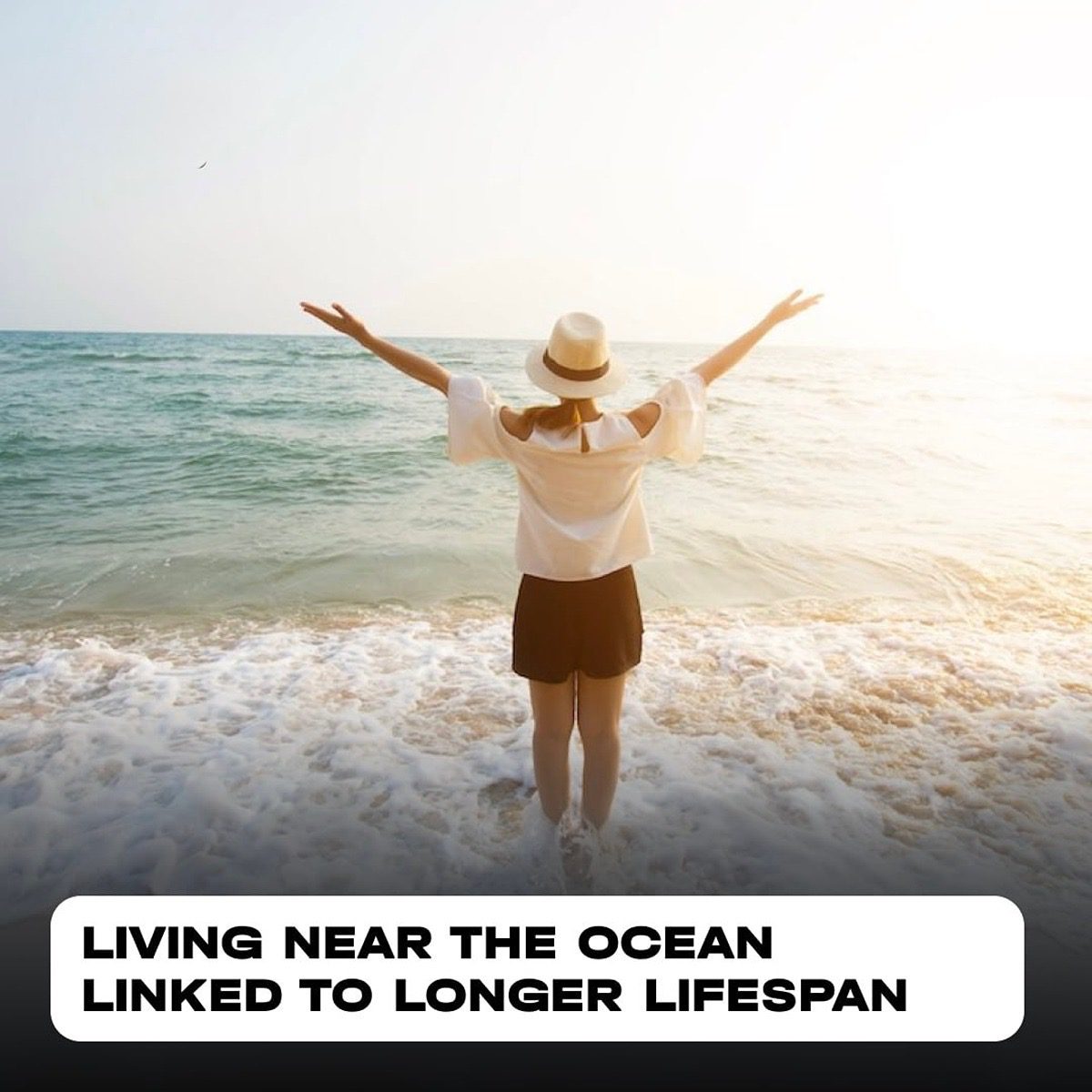 Why Living Near the Ocean Could Add Years to My Life 2 Why Living Near the Ocean Could Add Years to My Life
